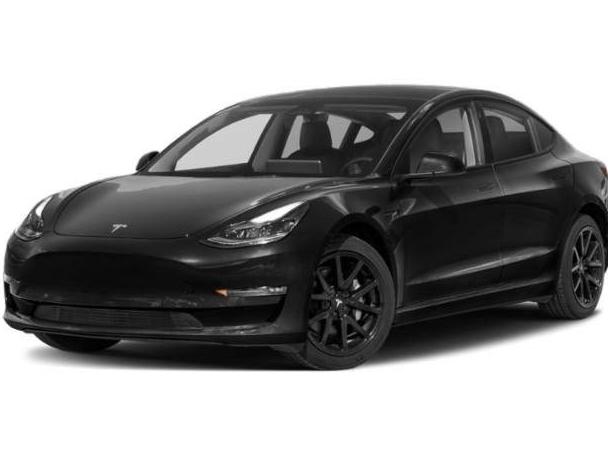 TESLA MODEL 3 2023 5YJ3E1EA7PF438144 image